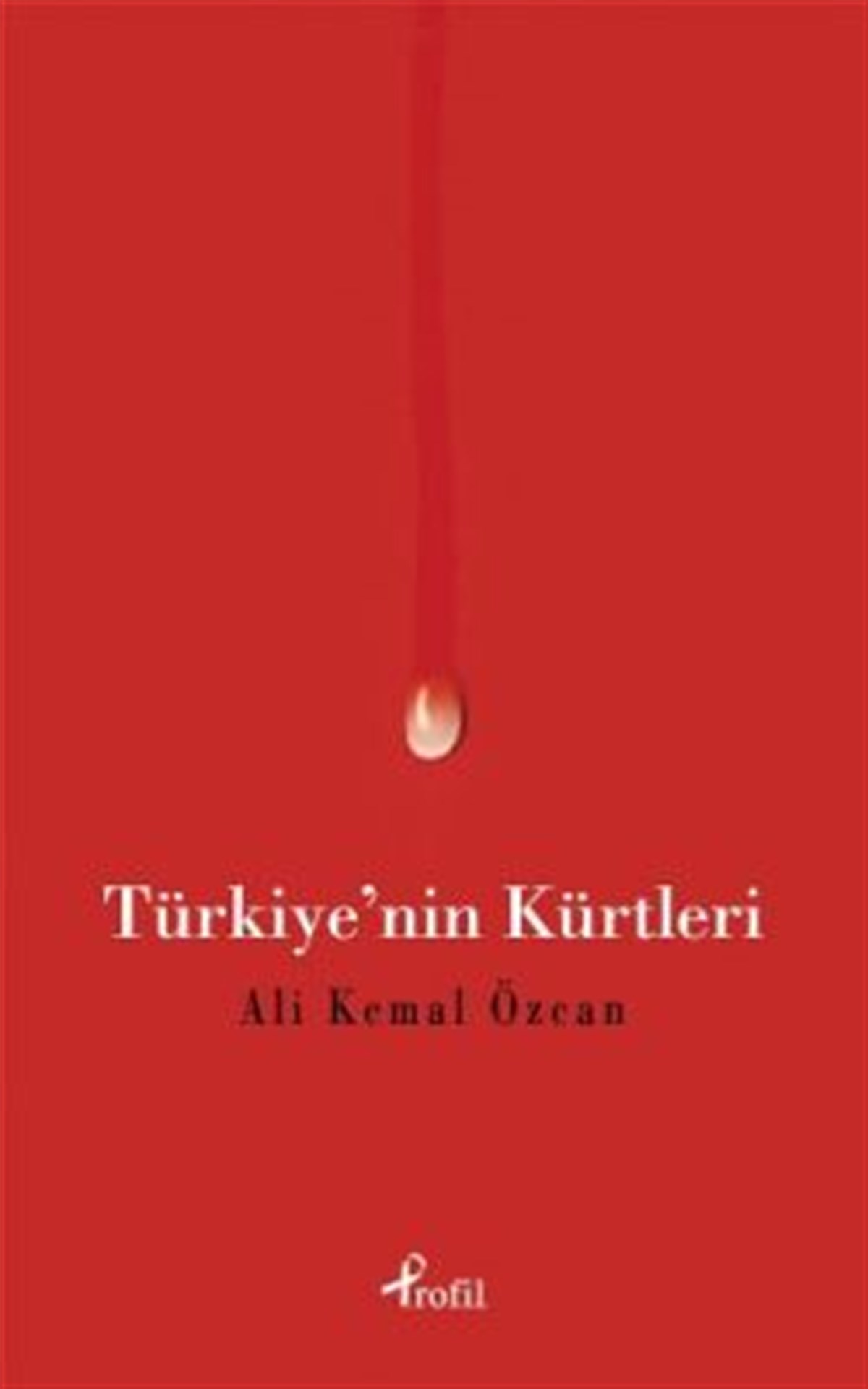 Türkiye'nin Kürtleri