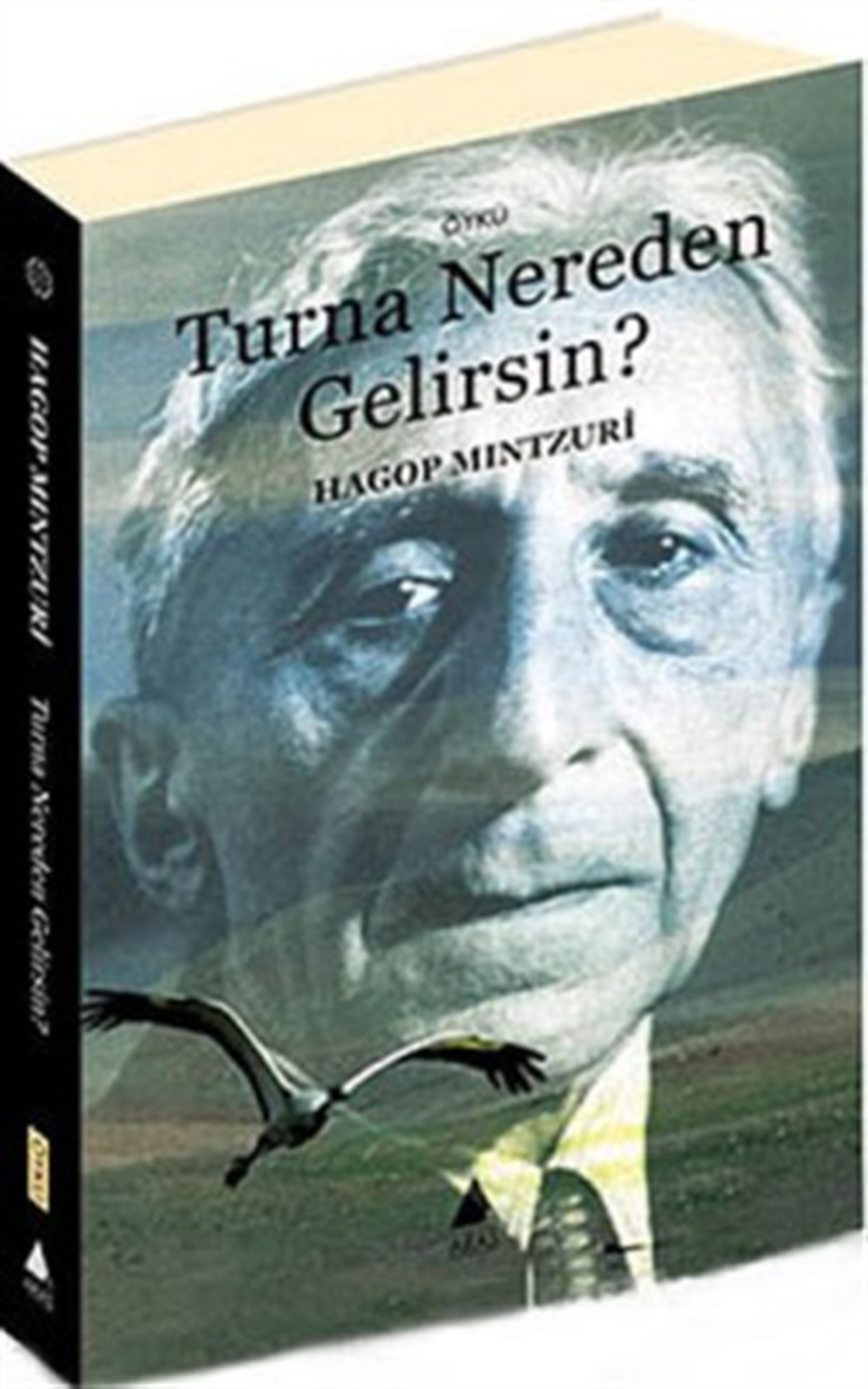 Turna Nereden Gelirsin?