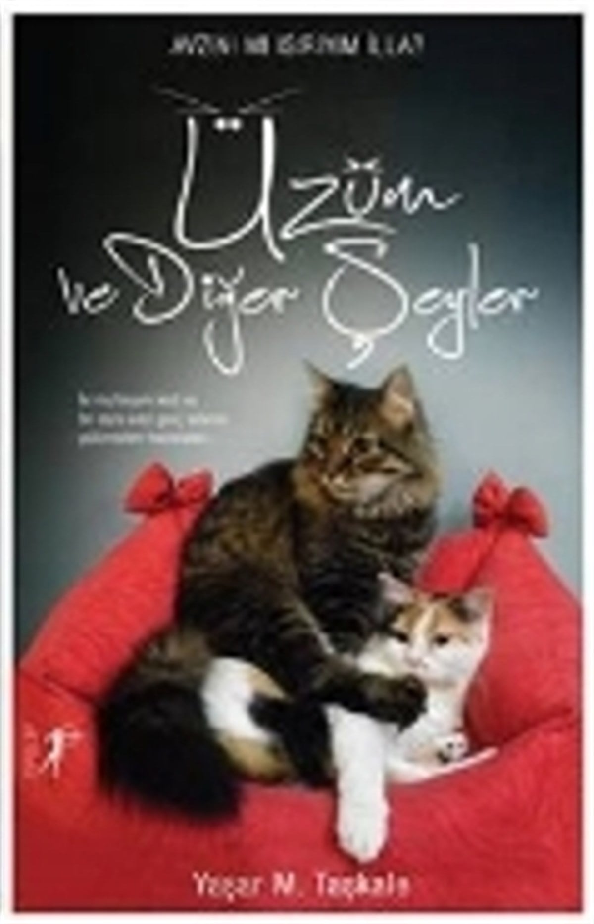 Üzüm ve Diğer Şeyler