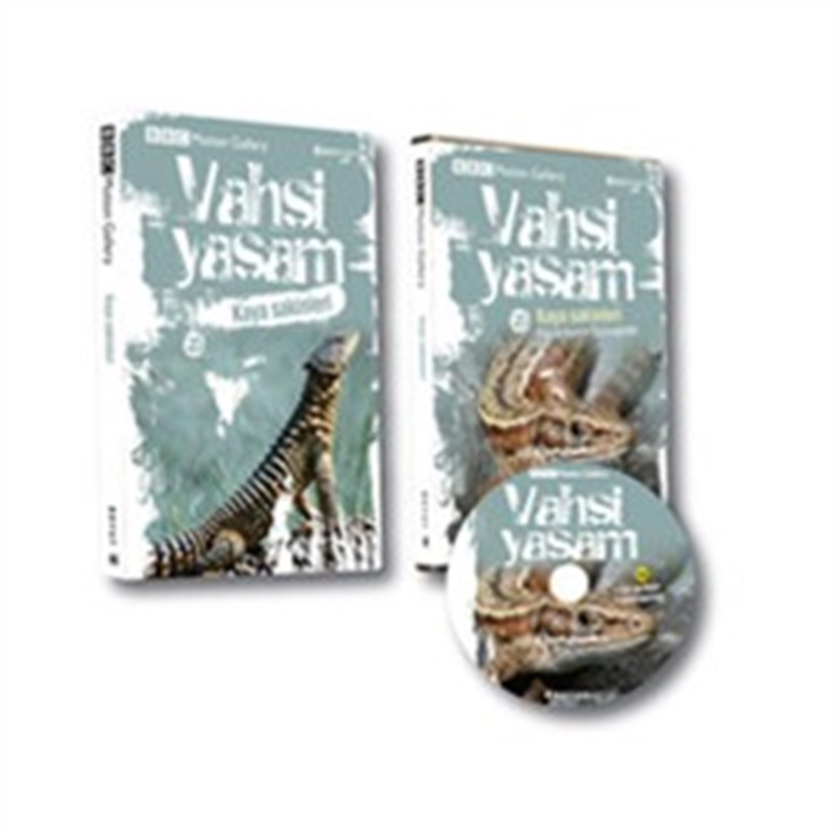 Vahşi Yaşam 2 - Kaya Sakinleri