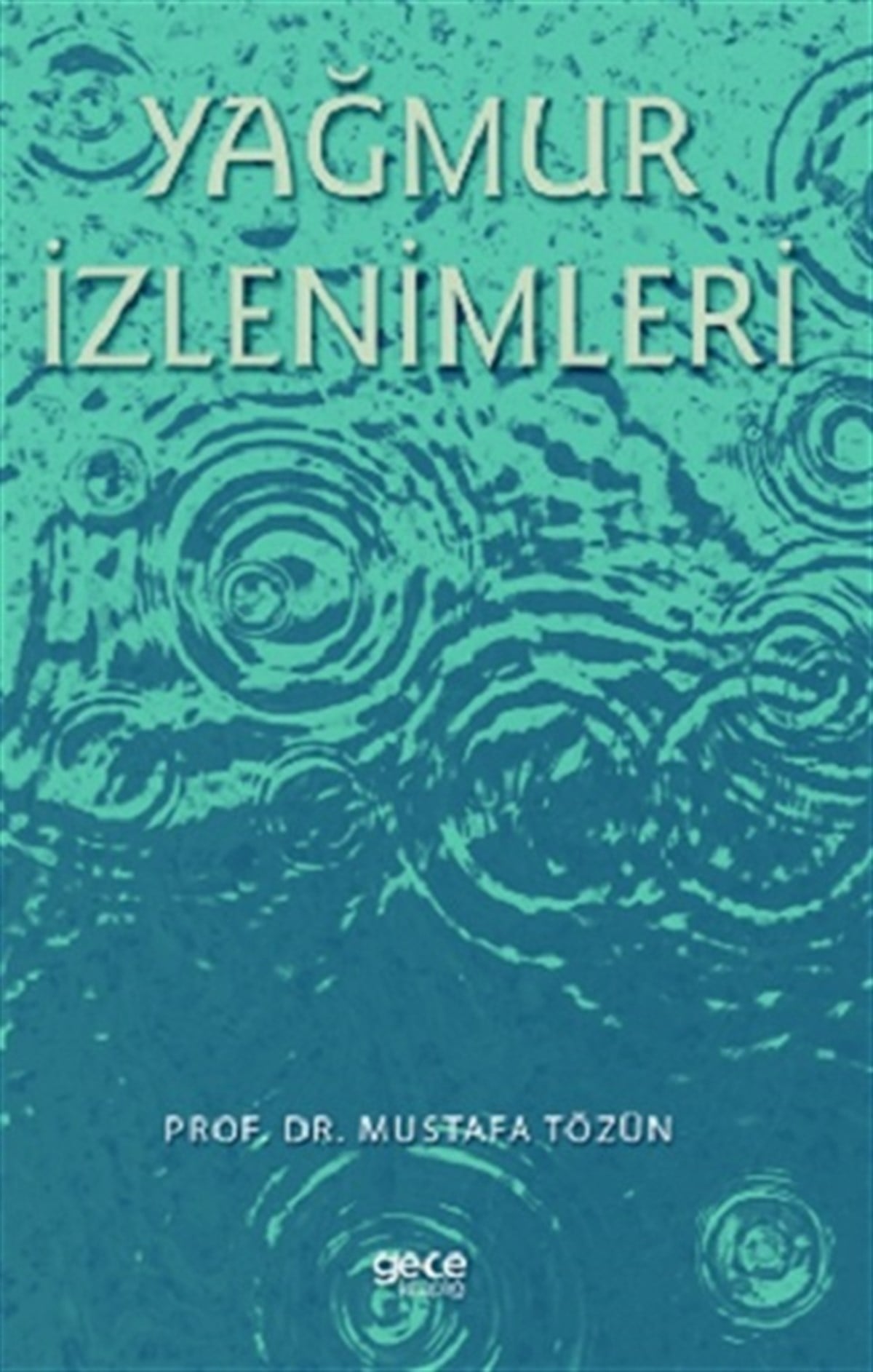 Yağmur İzlenimleri