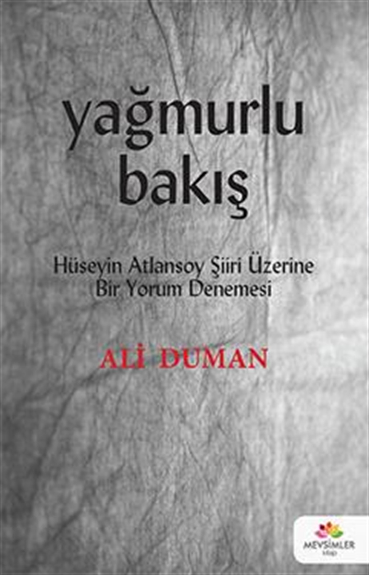 Yağmurlu Bakış