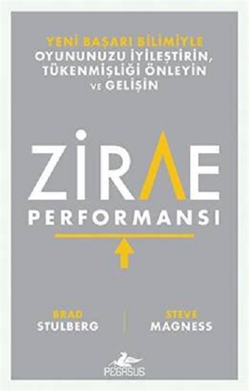 Zirve performansı