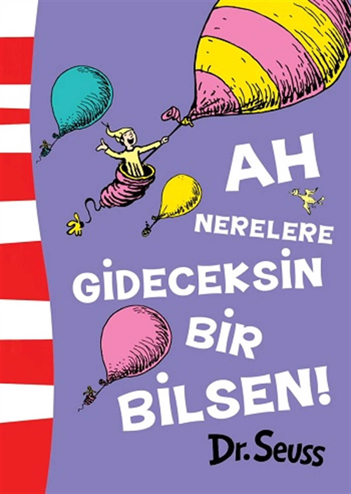 Ah Nerelere Gideceksin Bir Bilsen!