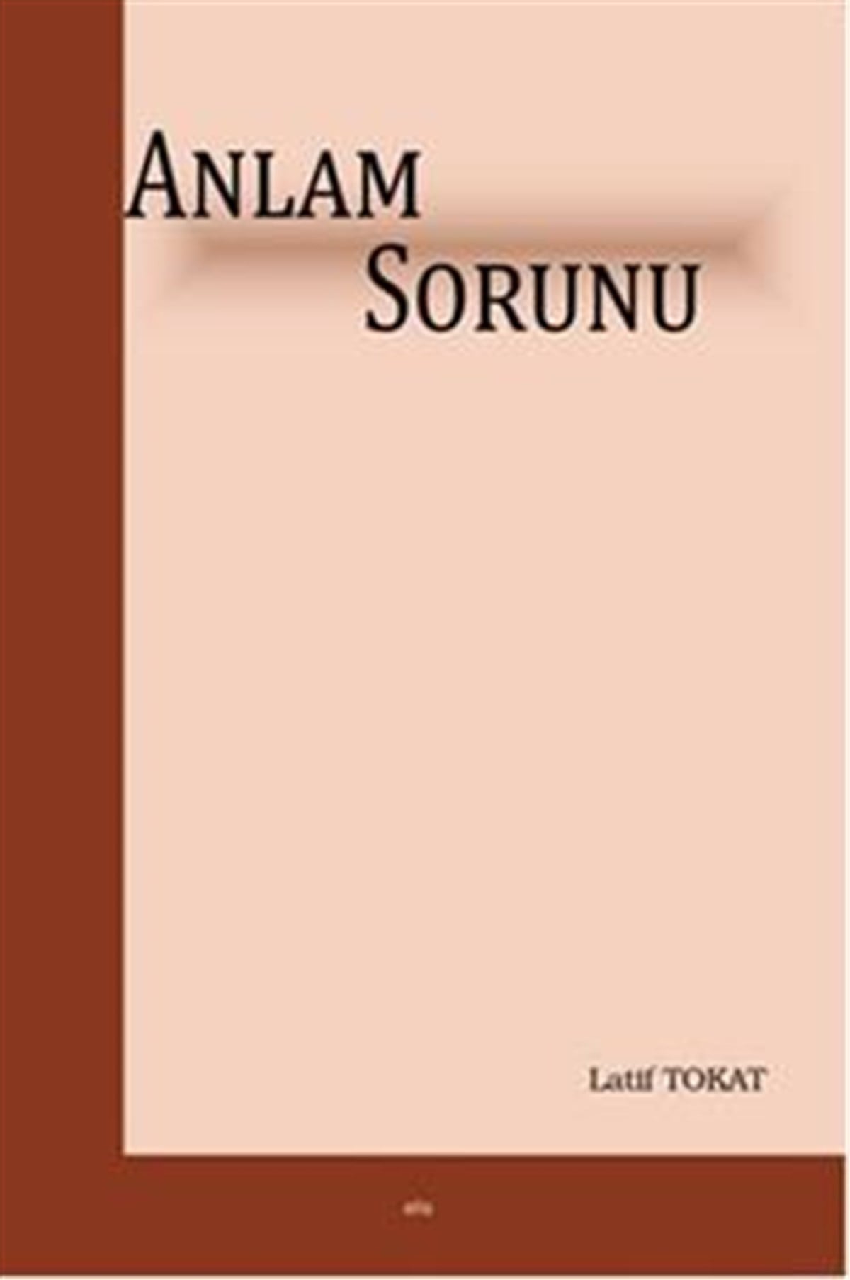 Anlam Sorunu