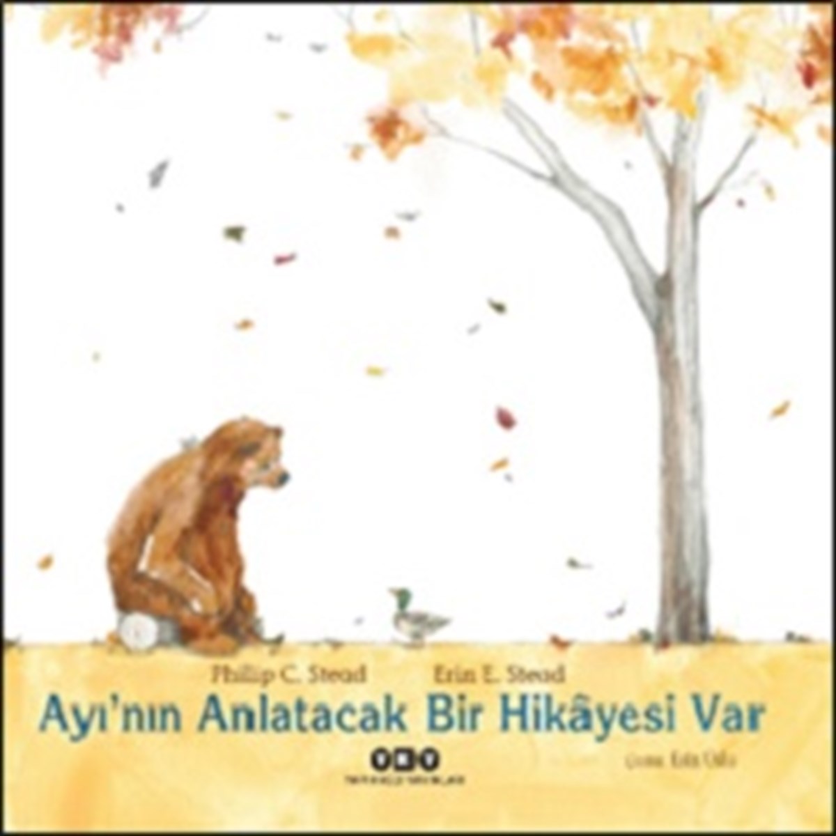 Ayı’nın Anlatacak Bir Hikayesi Var