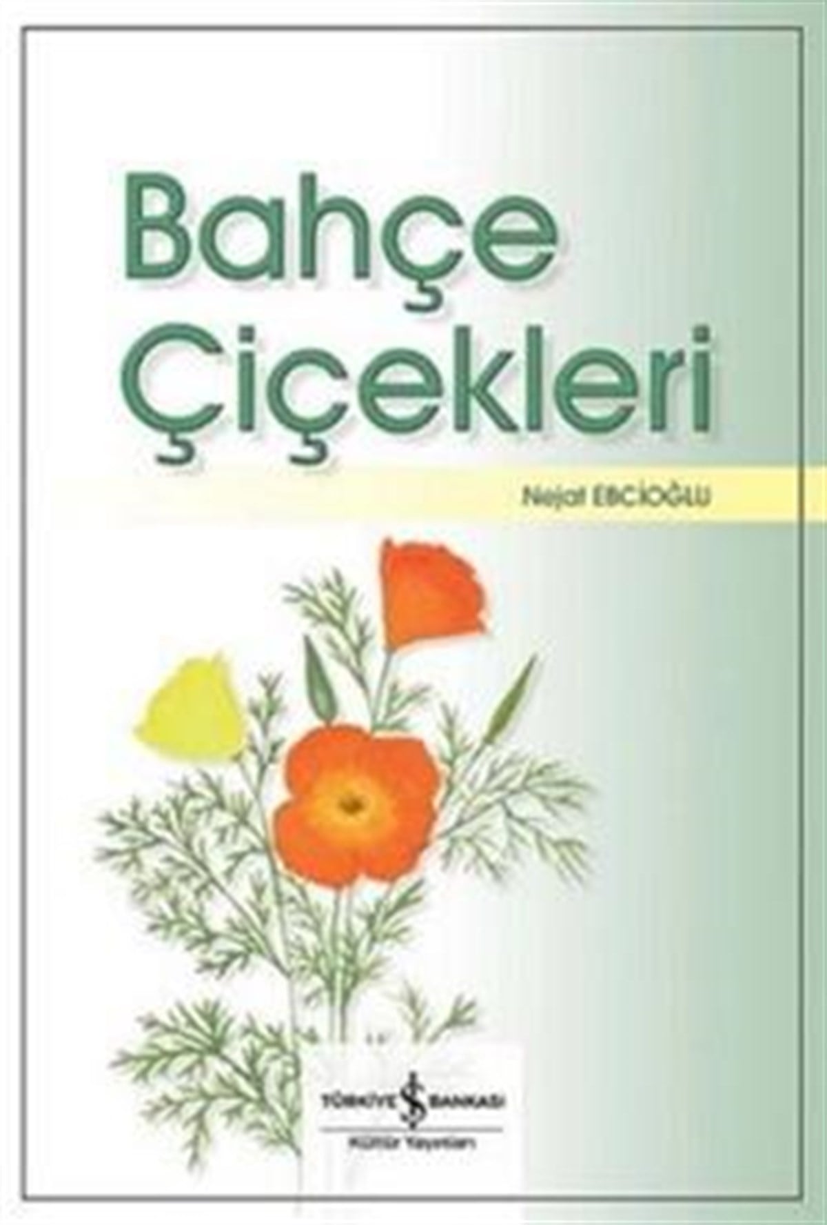 Bahçe Çiçekleri