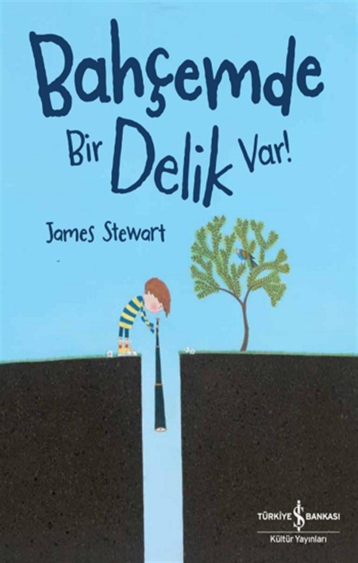 Bahçemde Bir Delik Var