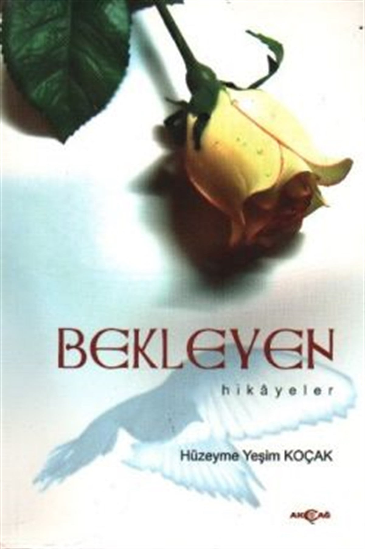 Bekleyen Hikayeler