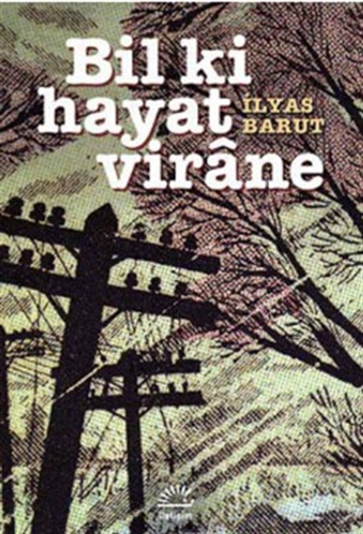 Bil Ki Hayat Virane