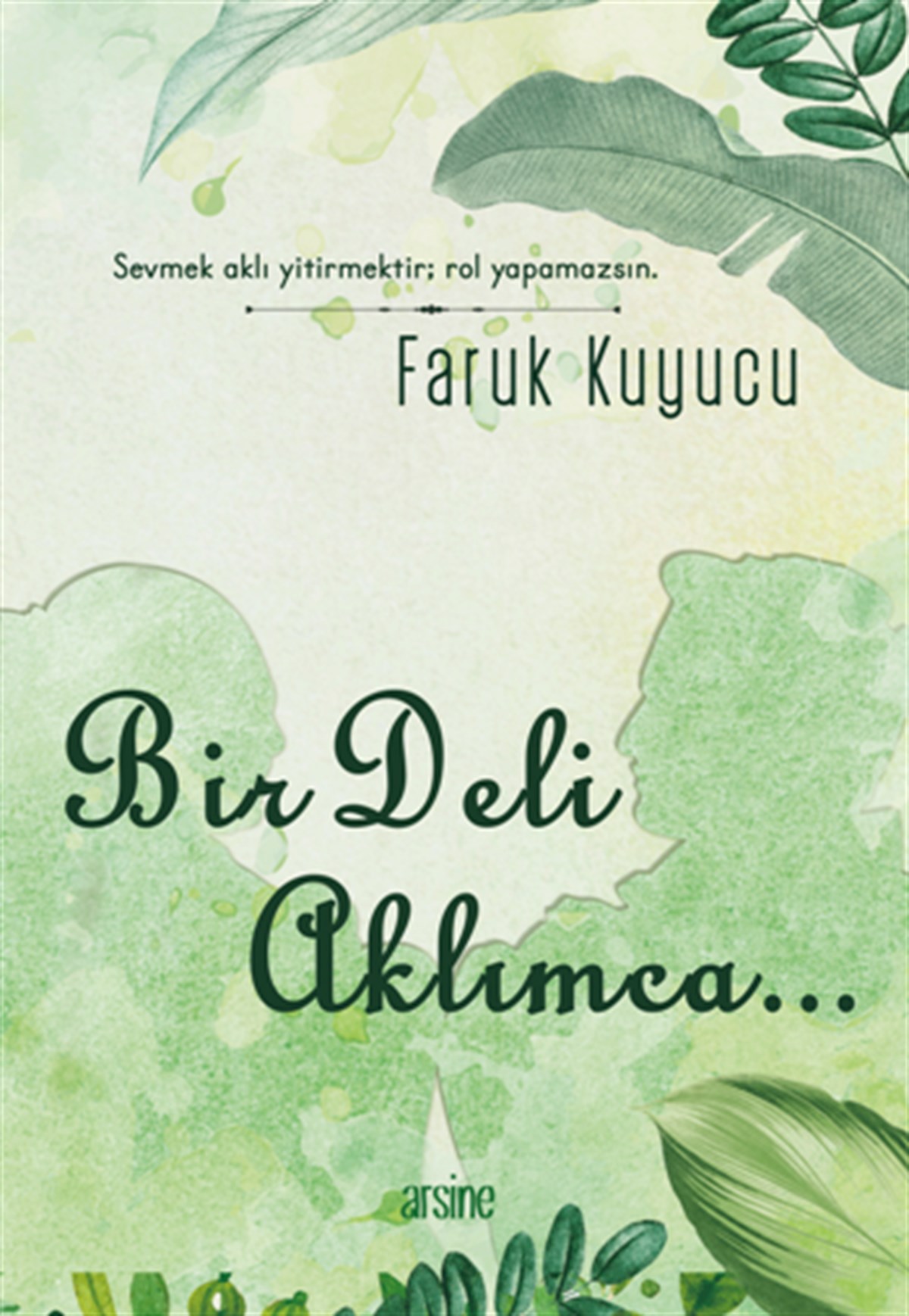 Bir Deli Aklımca