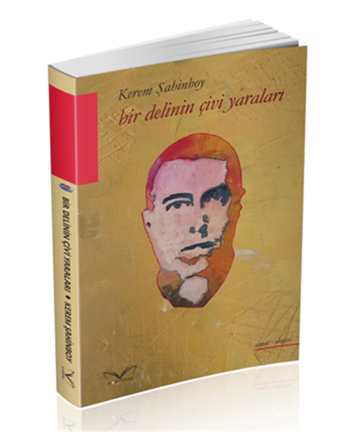 Bir Delinin Çivi Yaraları