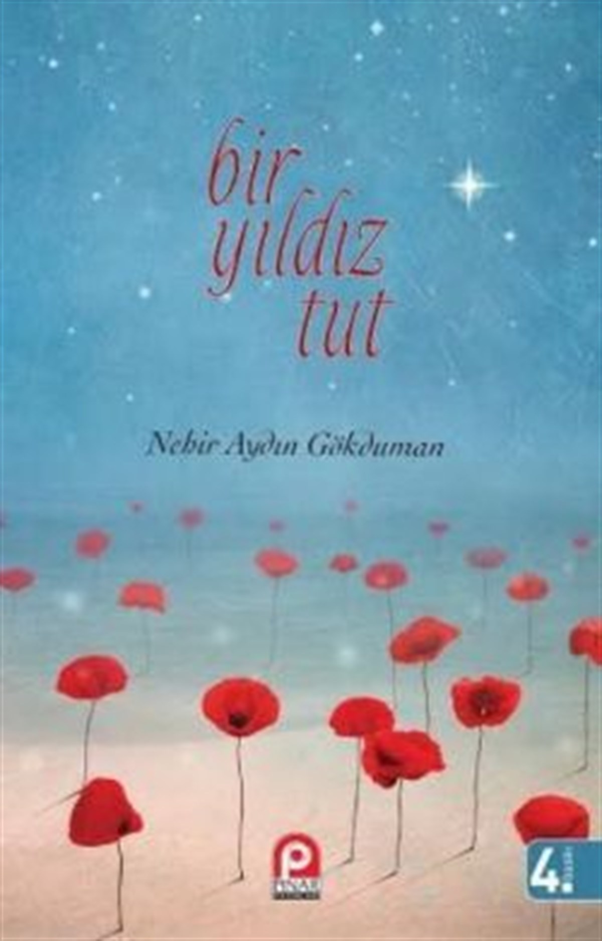 Bir Yıldız Tut