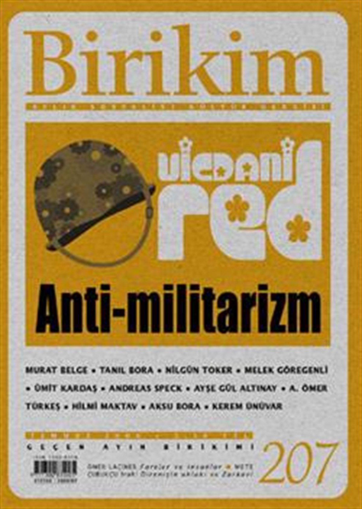 Birikim Sayı 207