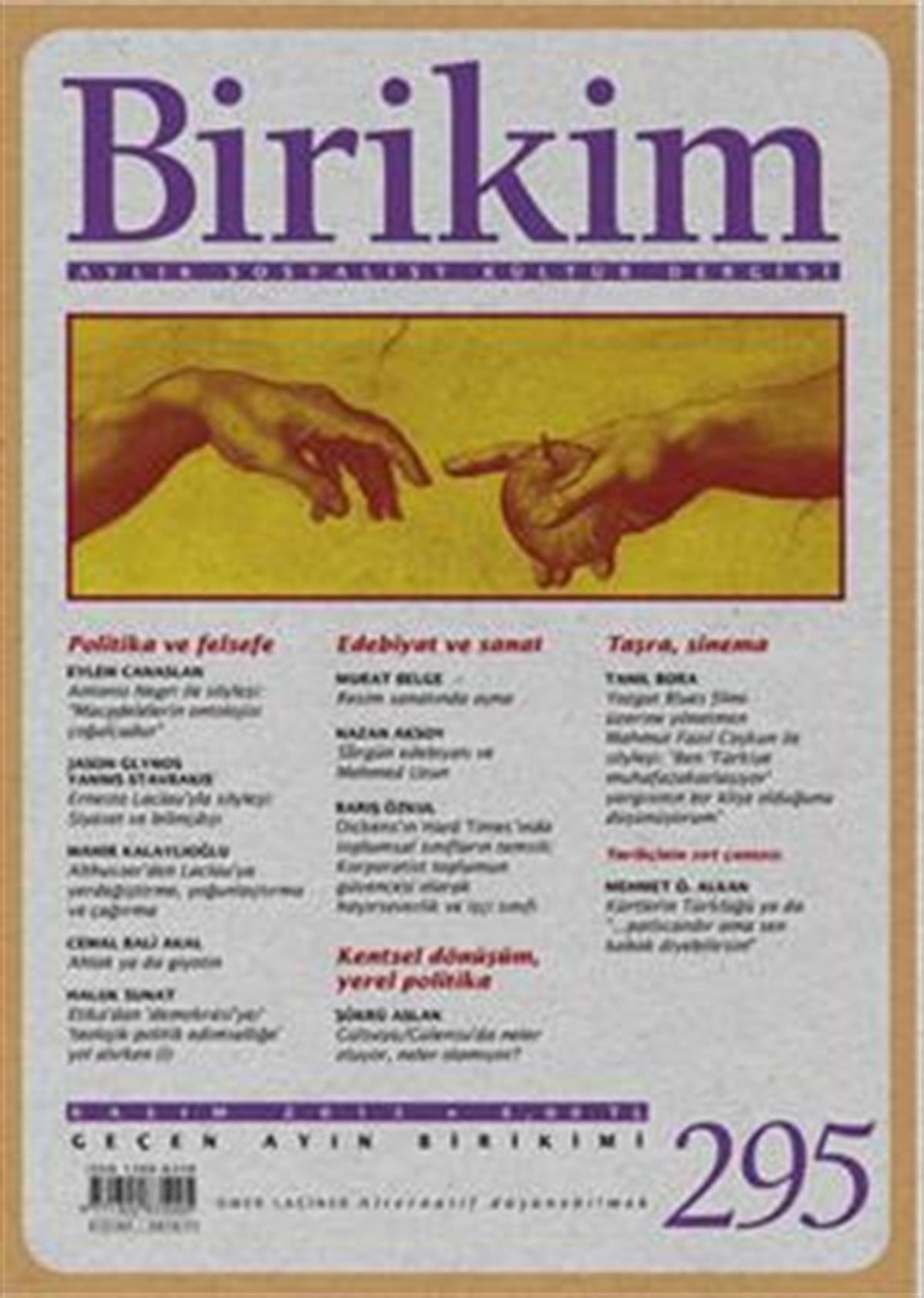 Birikim Sayı 295 (Kasım 2013)