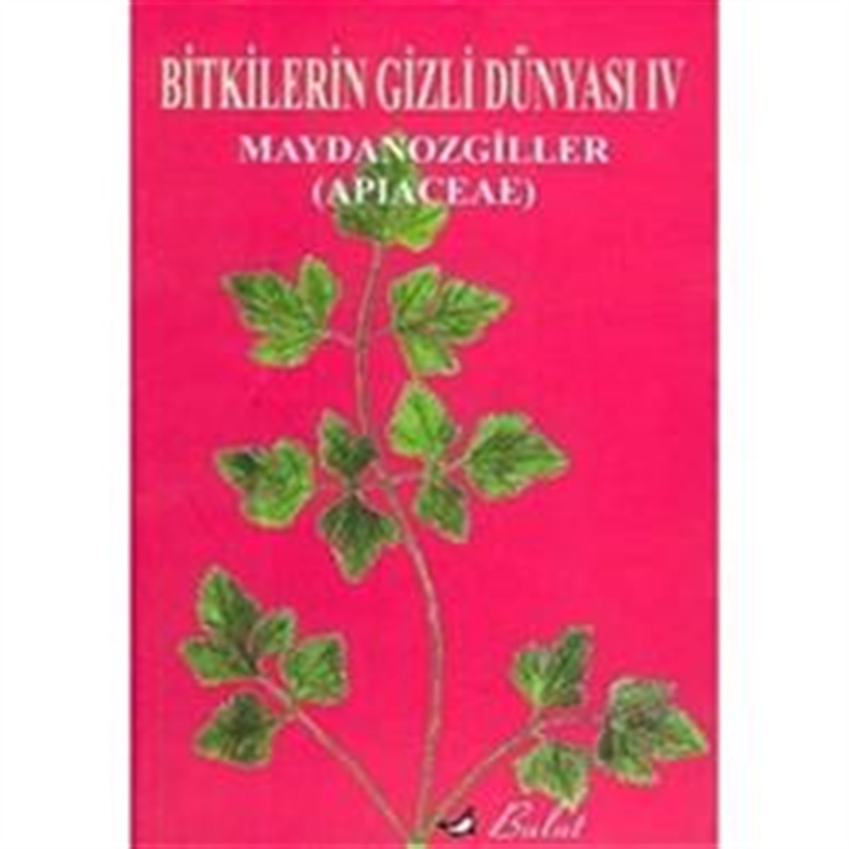 Bitkilerin Gizli Dünyası: 4 Maydonozgiller (Apiaceae)