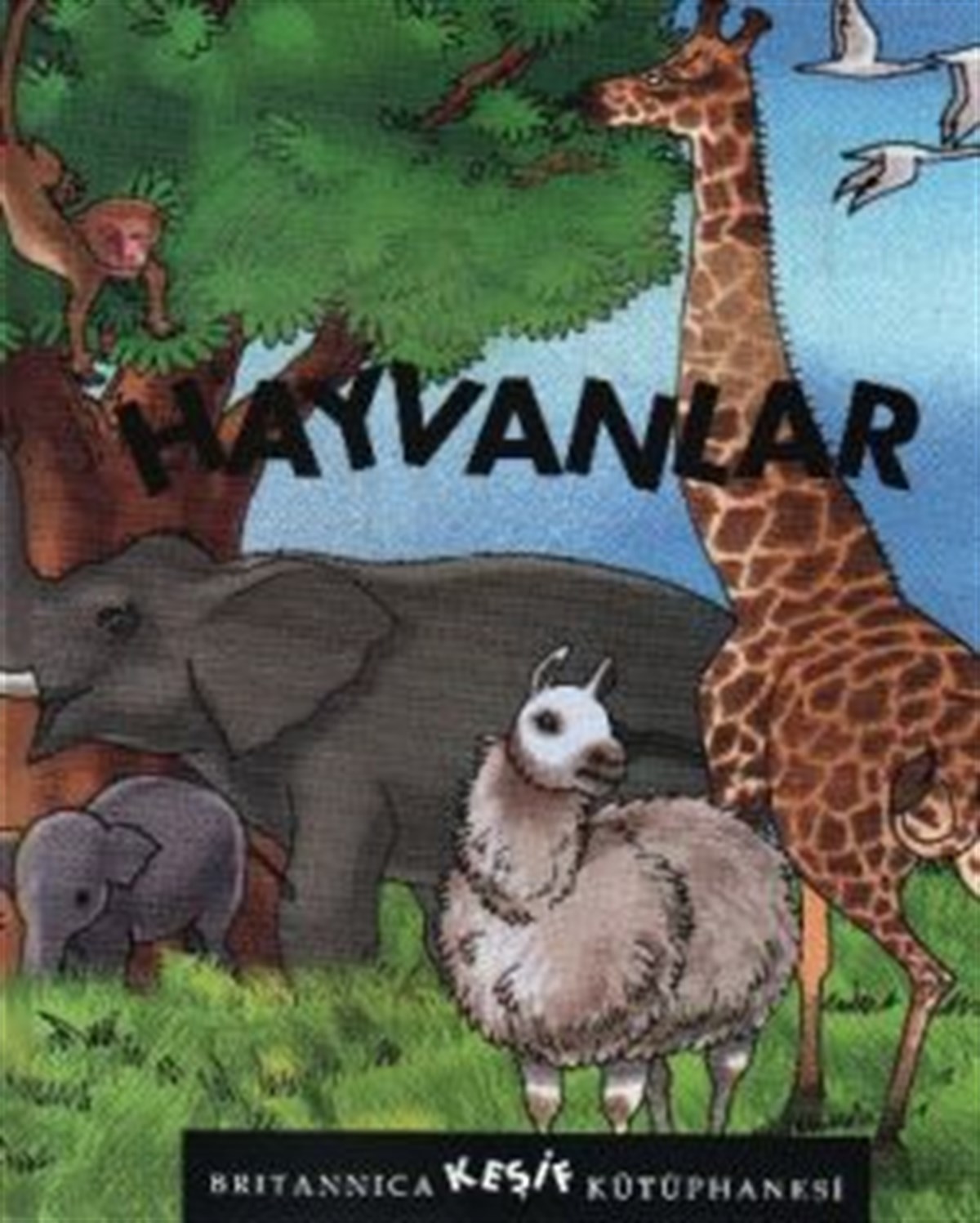 Britannica Keşif Kütüphanesi - Hayvanlar