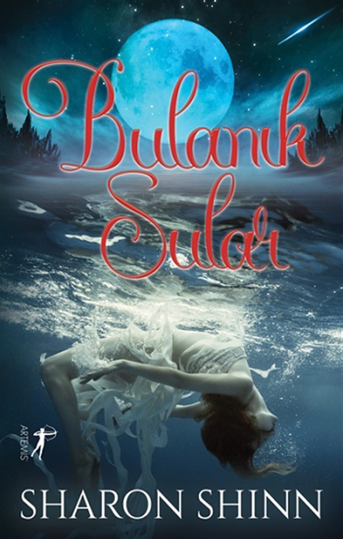Bulanık  Sular