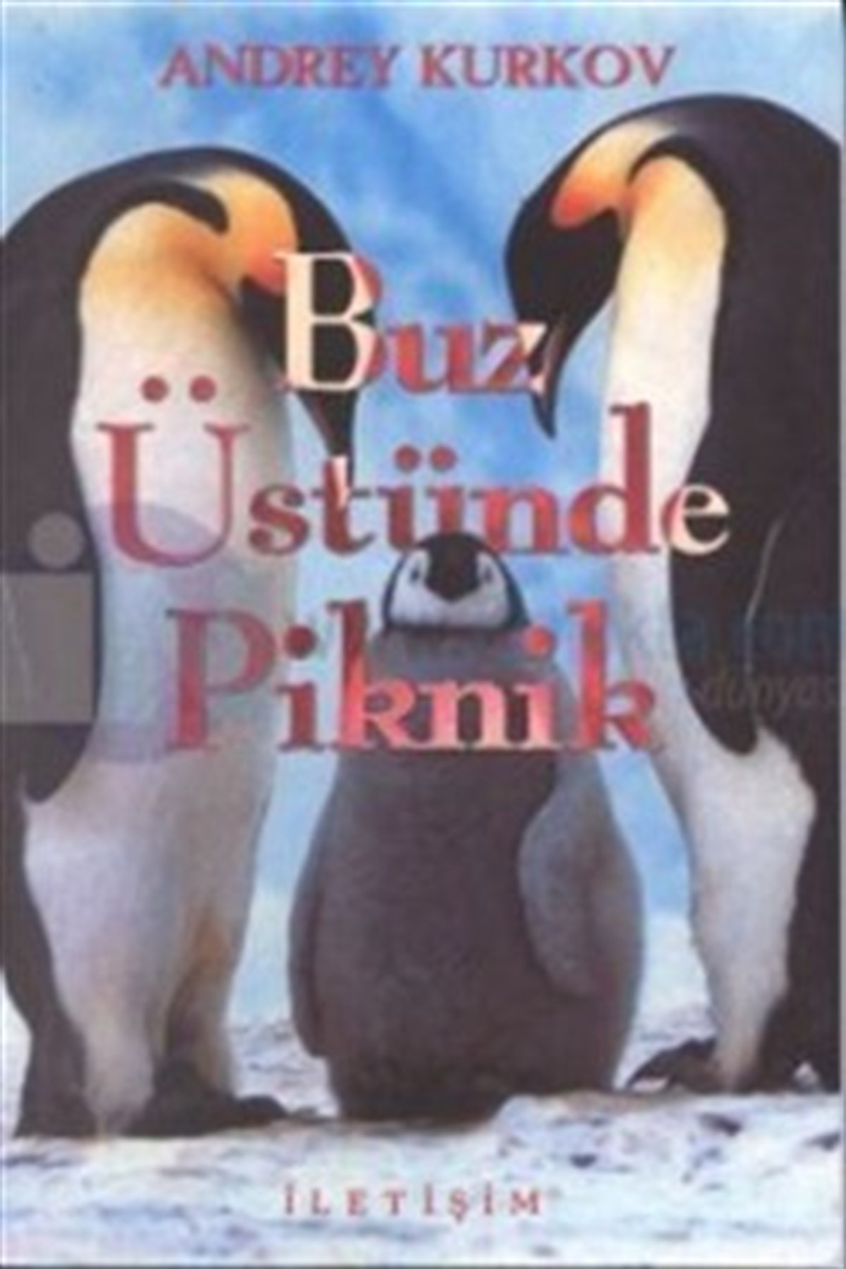 Buz Üstünde Piknik