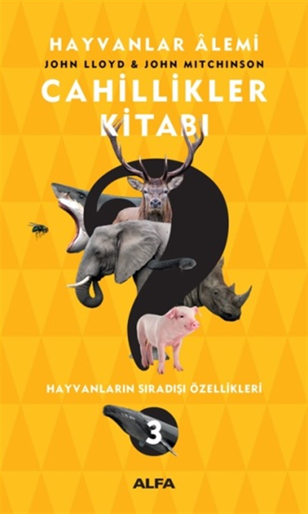 Cahillikler Kitabı