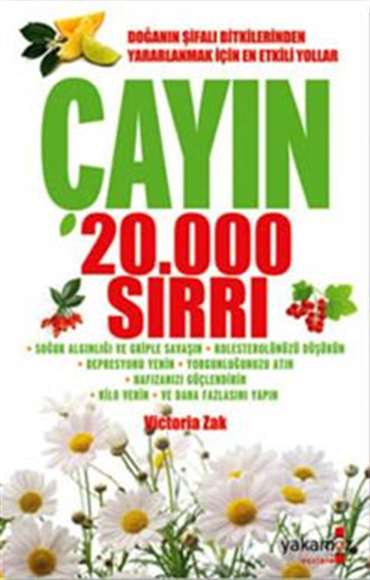 Çayın 20.000 Sırrı
