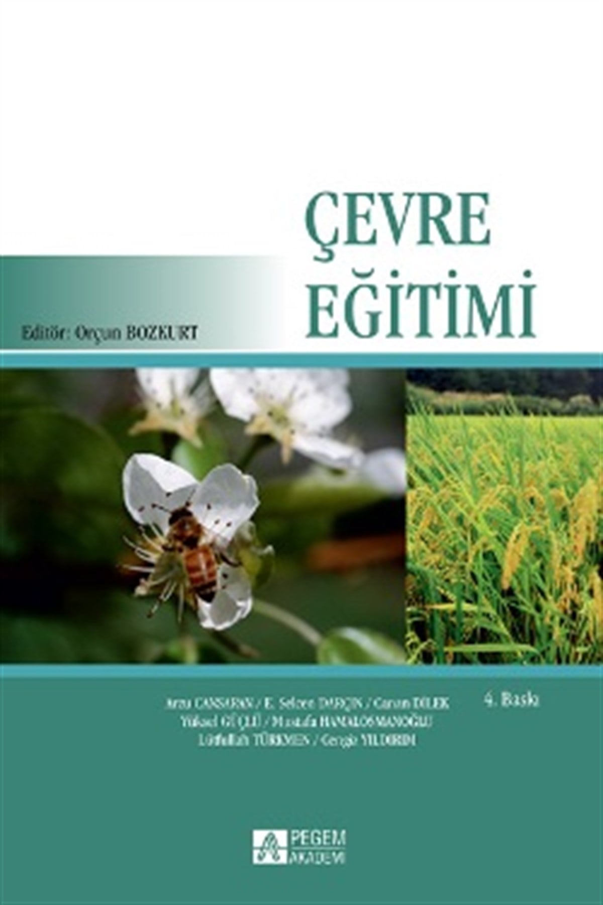 Çevre Eğitimi
