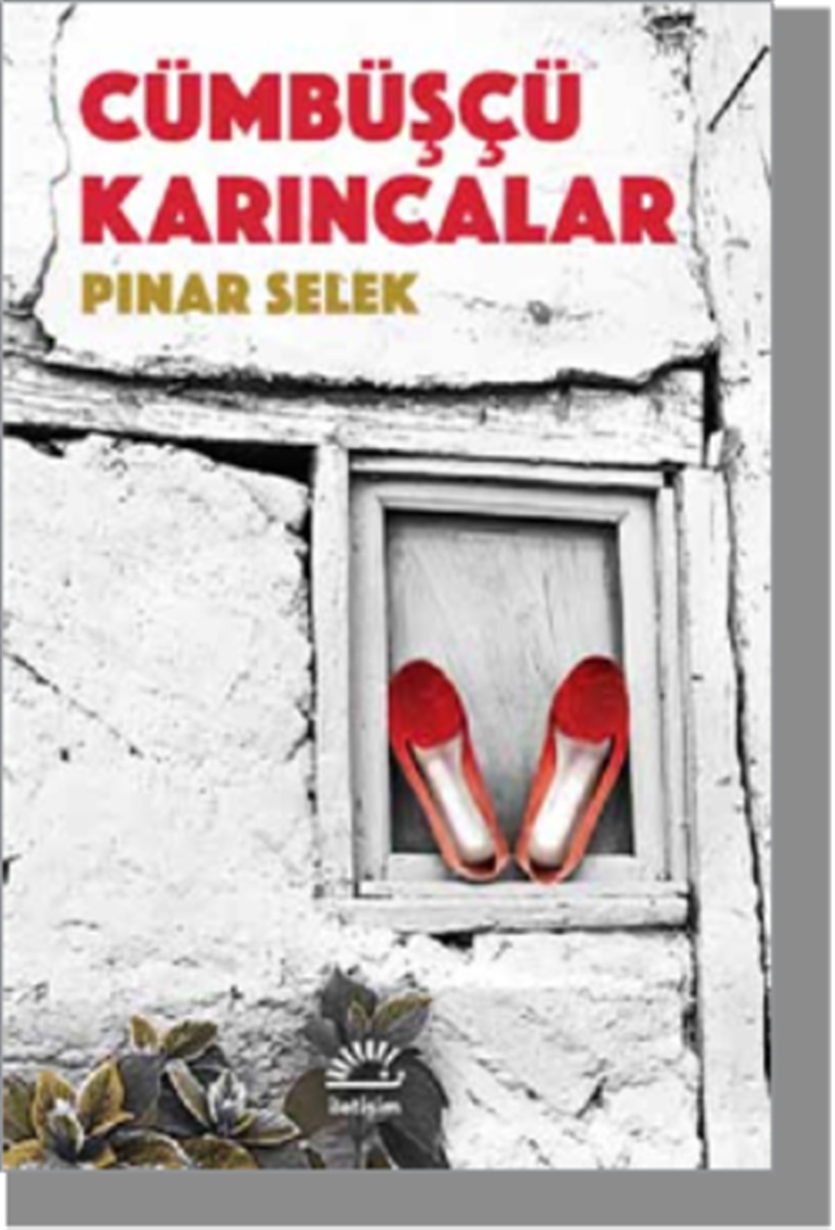 Cümbüşçü Karıncalar