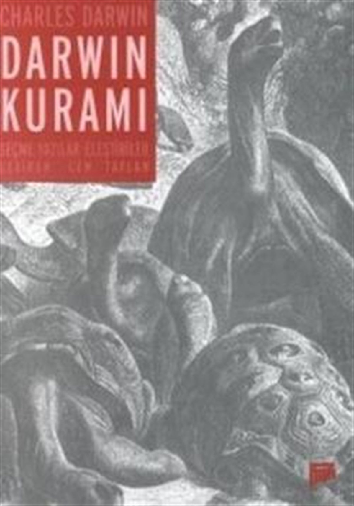 Darwin Kuramı Seçme Yazılar - Eleştiriler