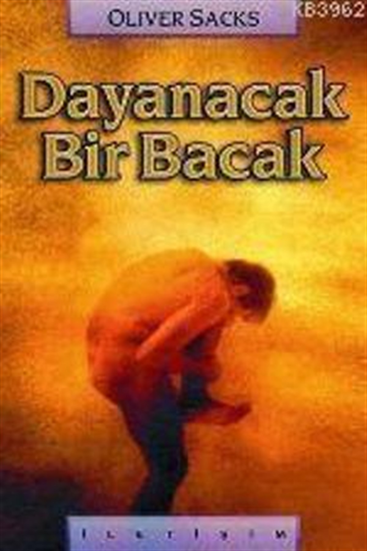 Dayanacak Bir Bacak