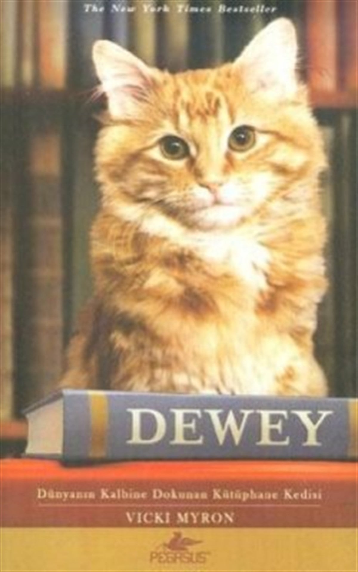 Dewey Dünyanın Kalbine Dokunan Kütüphane Kedisi