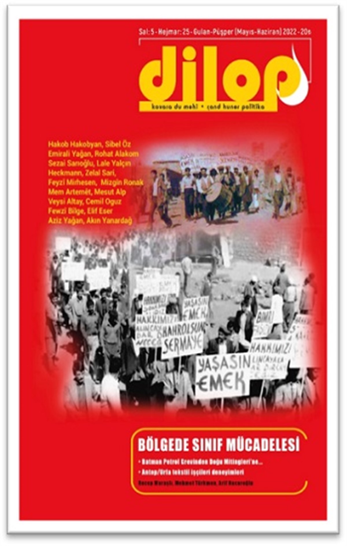 Dilop Dergisi Sayı 25 (Mayıs-Haziran)