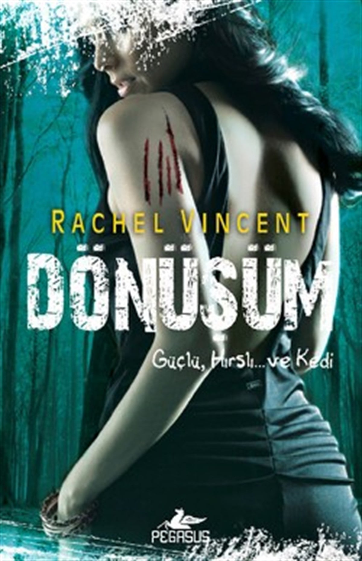 Dönüşüm - Dönüşüm Serisi 5. Kitap
