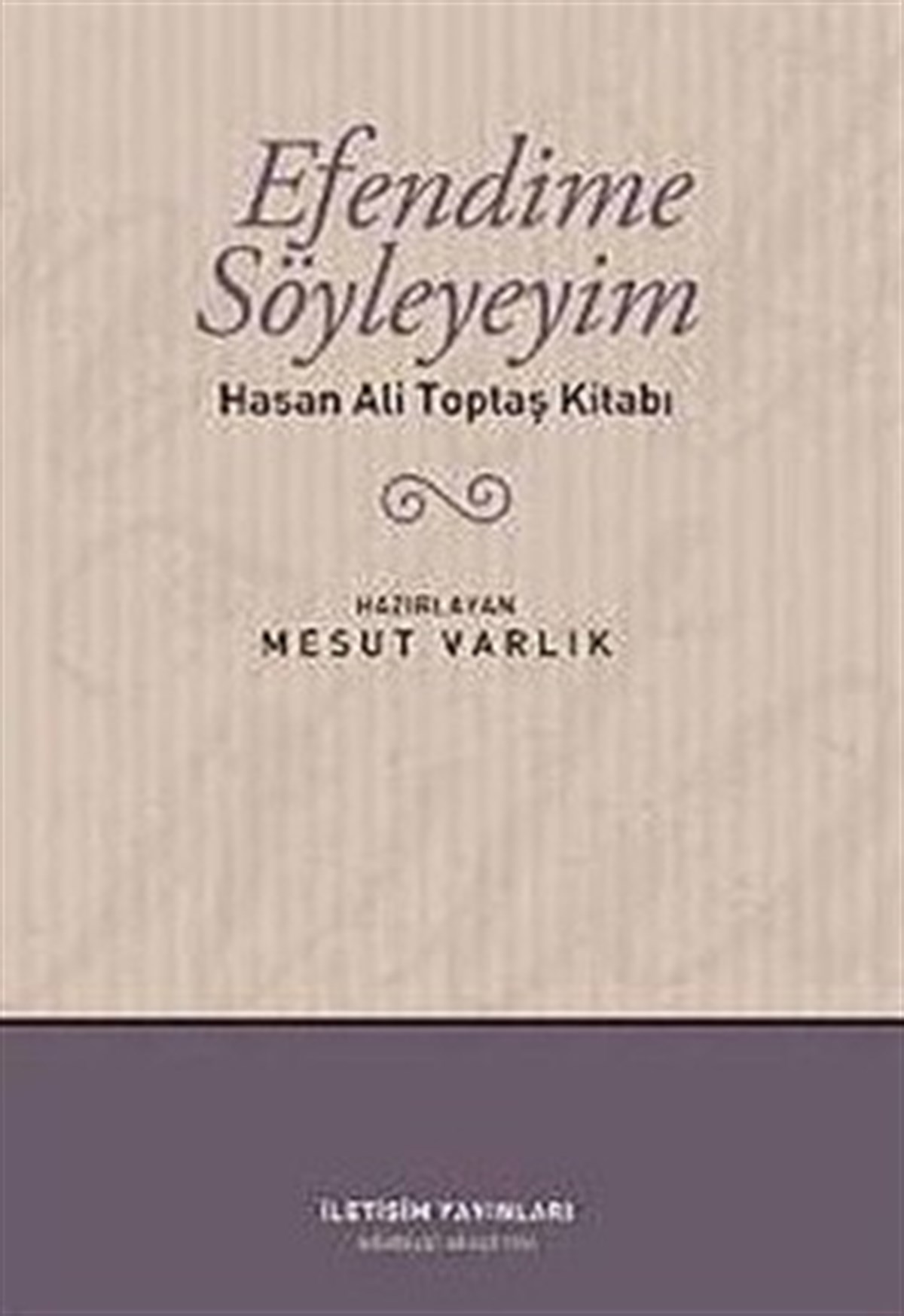 Efendime Söyleyeyim: Hasan Ali Toptaş Kitabı