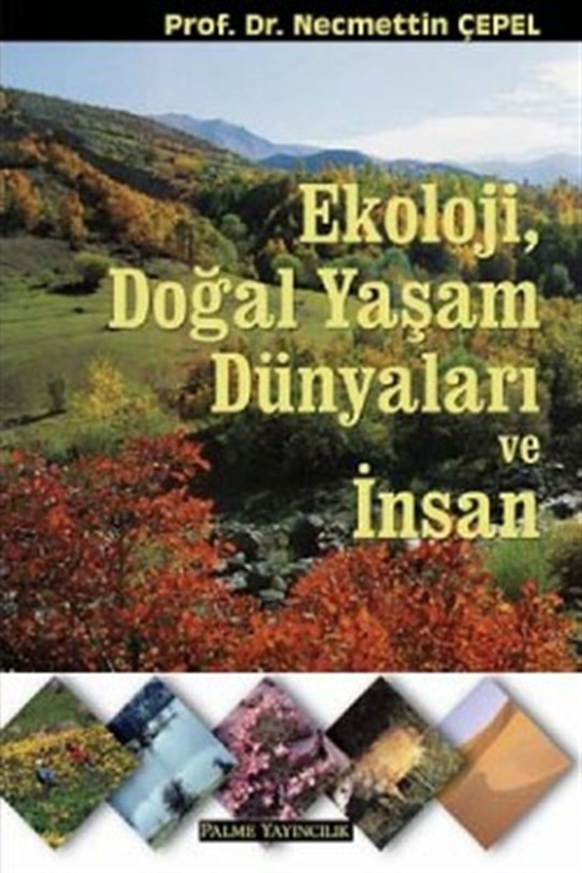 Ekoloji, Doğal Yaşam Dünyaları ve İnsan