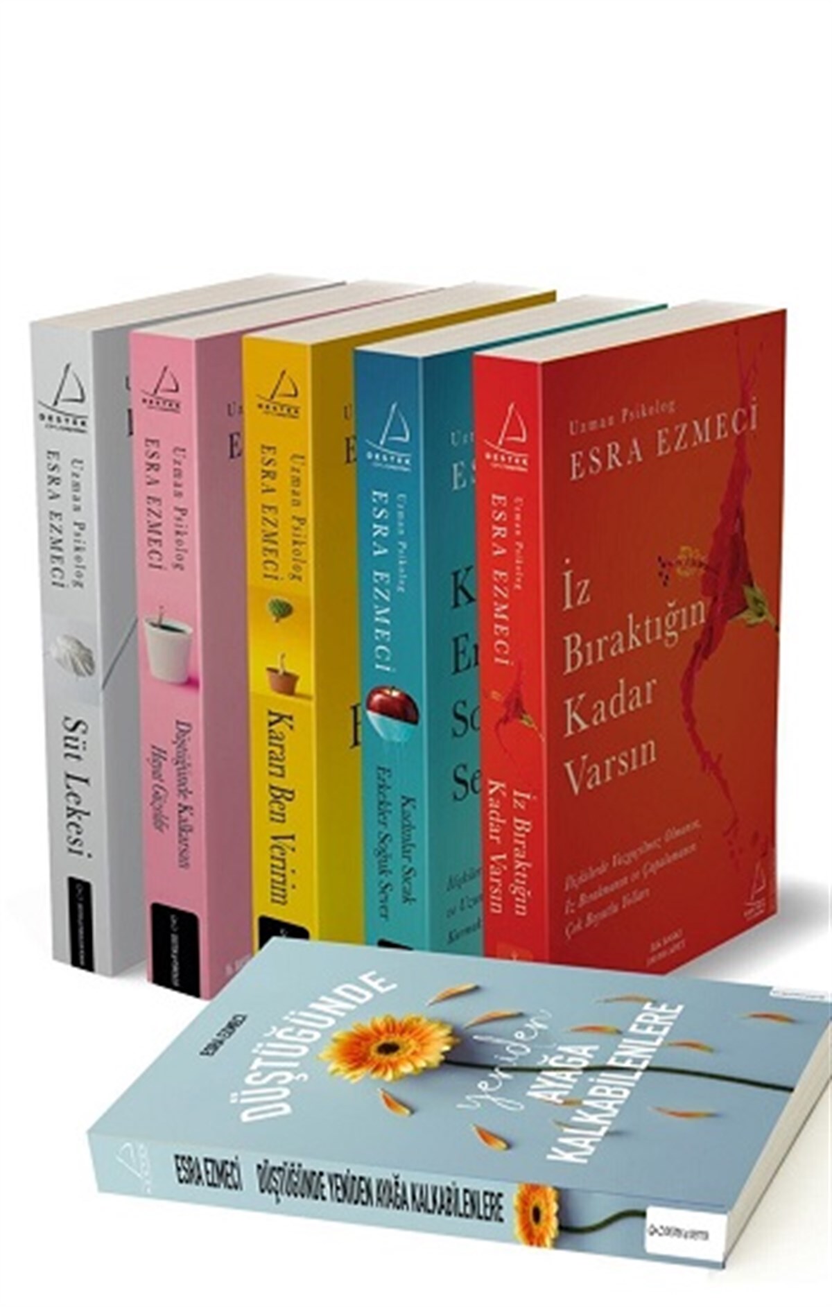 Esra Ezmeci 5 Kitap Set (Defter Hediyeli)