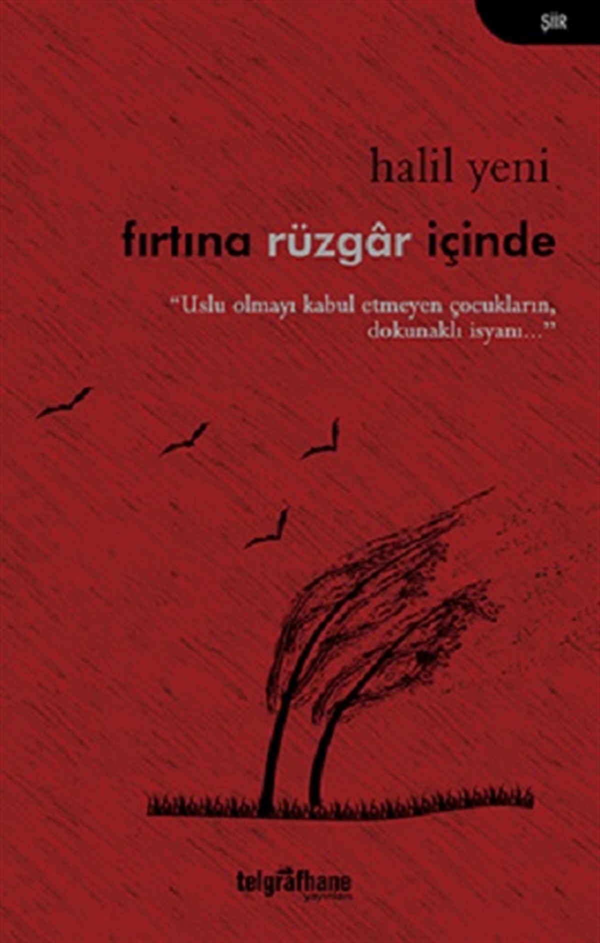 Fırtına Rüzgar İçinde
