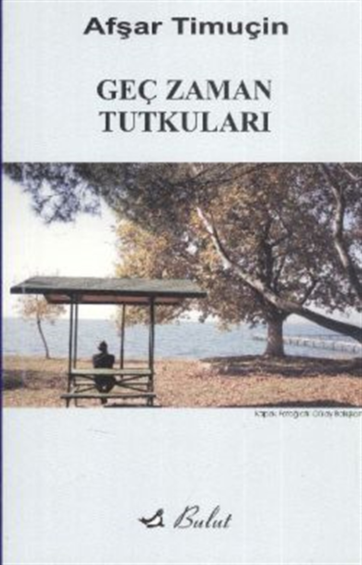 Geç Zaman Tutkuları