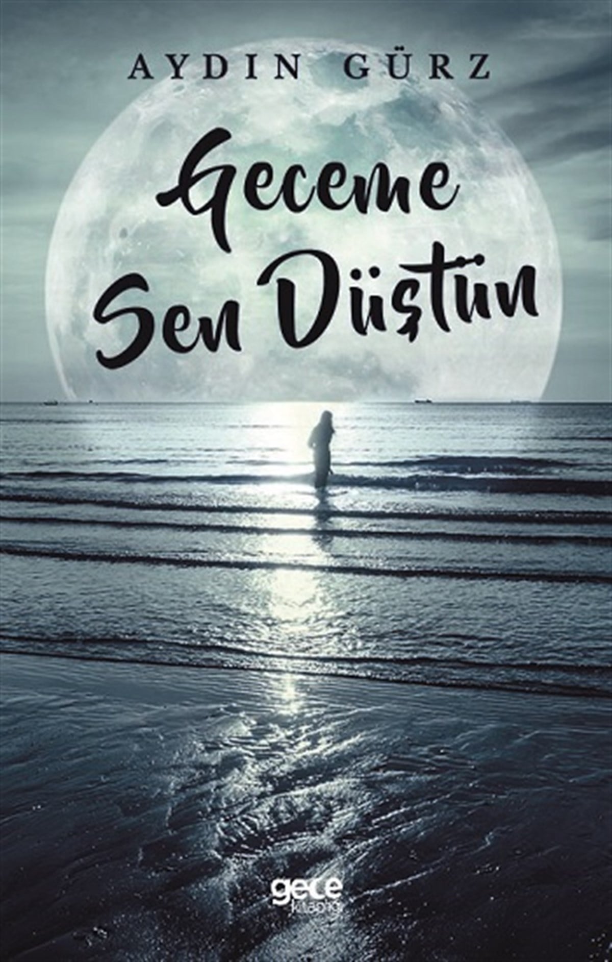 Geceme Sen Düştün