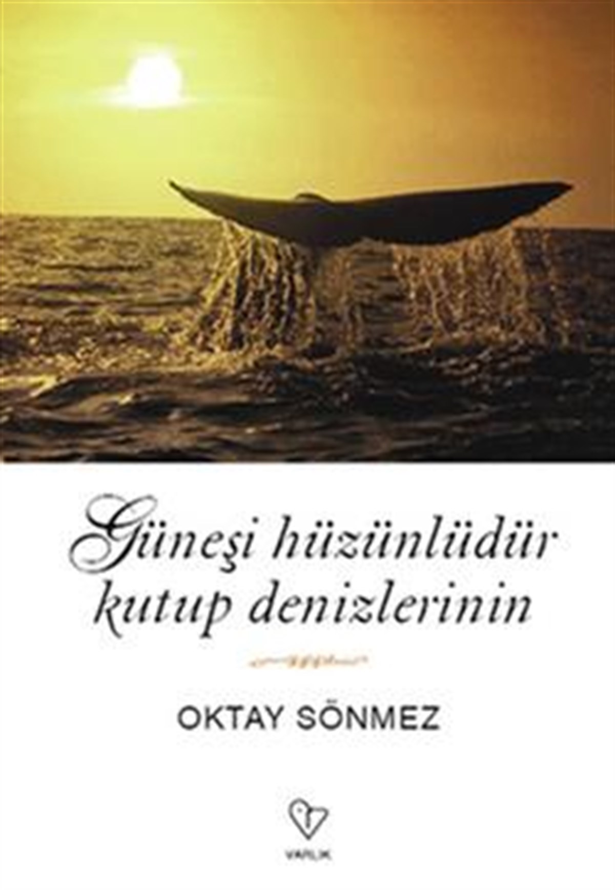Güneşi Hüzünlüdür Kutup Denizlerinin