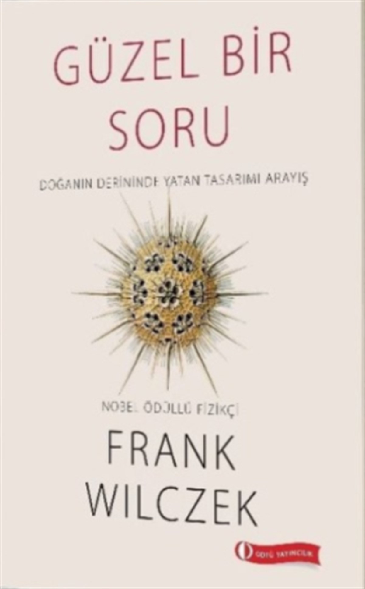 Güzel Bir Soru