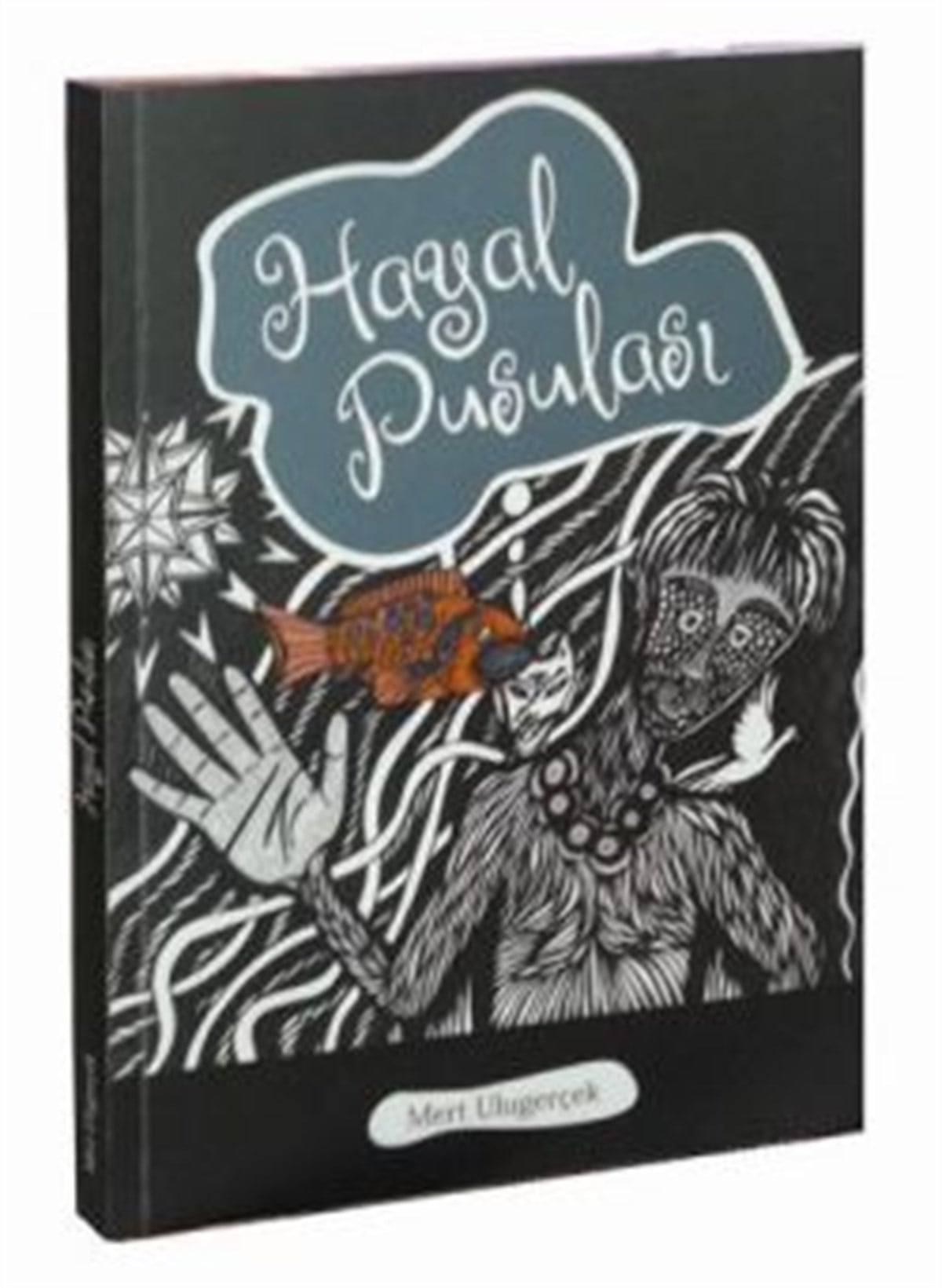 Hayal Pusulası
