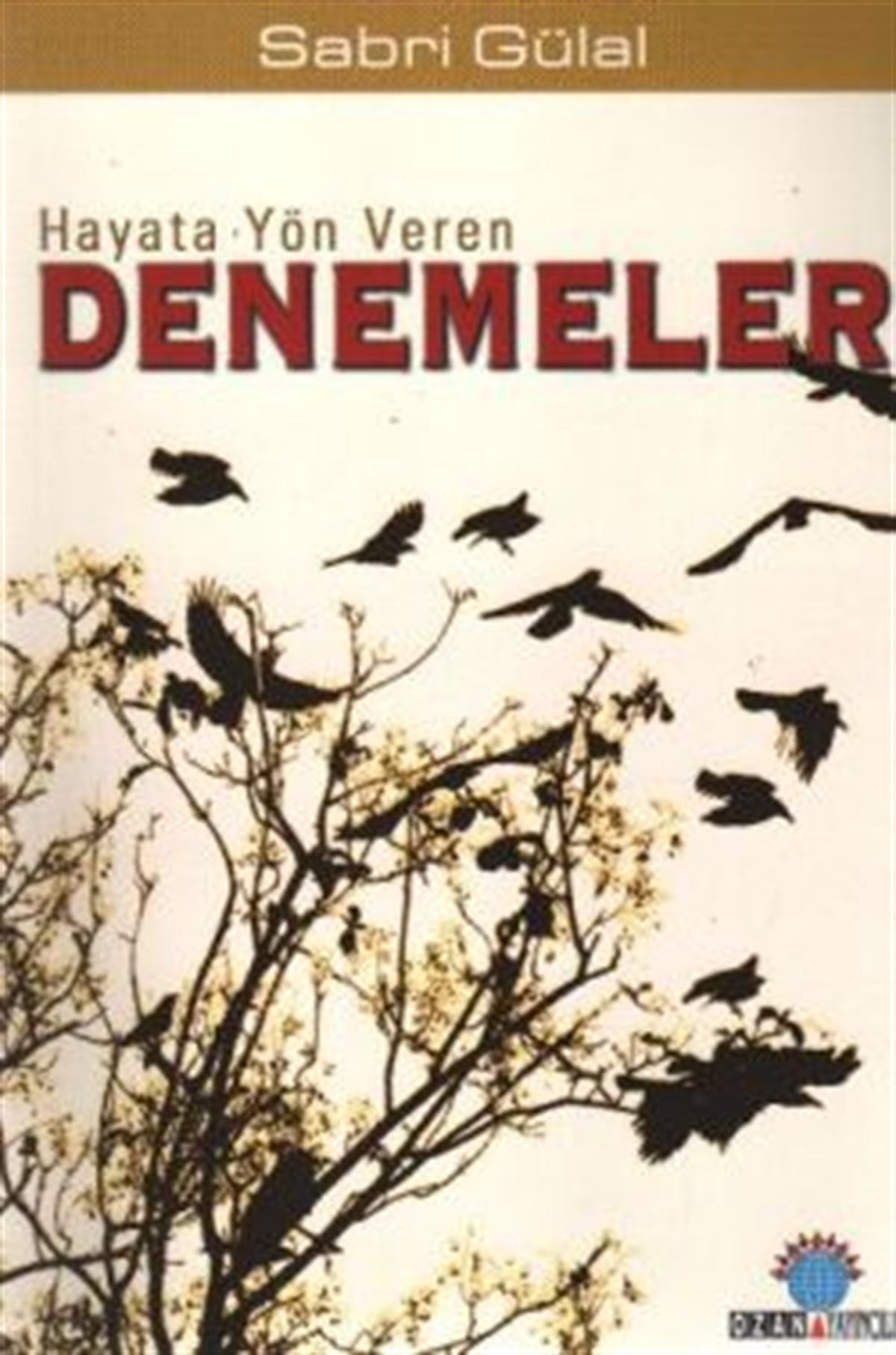 Hayata Yön Veren Denemeler