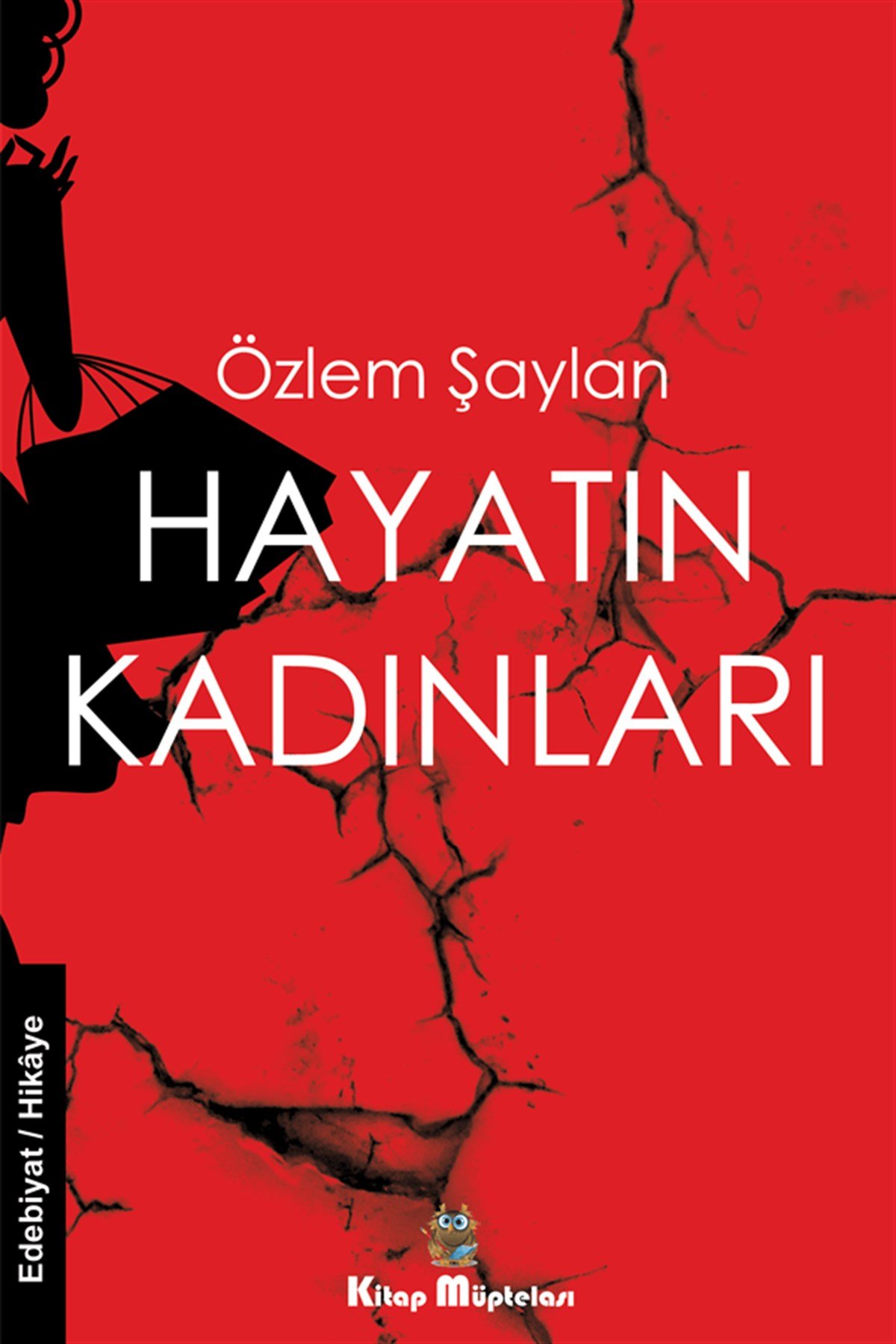 Hayatın Kadınları , Özlem Şaylan , Kitap Müptelası Yayınları , 9786057122742 ,