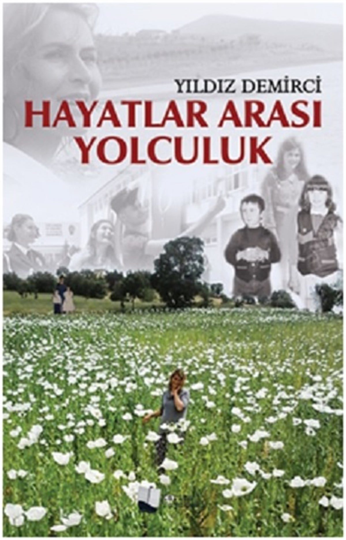 Hayatlar Arası Yolculuk