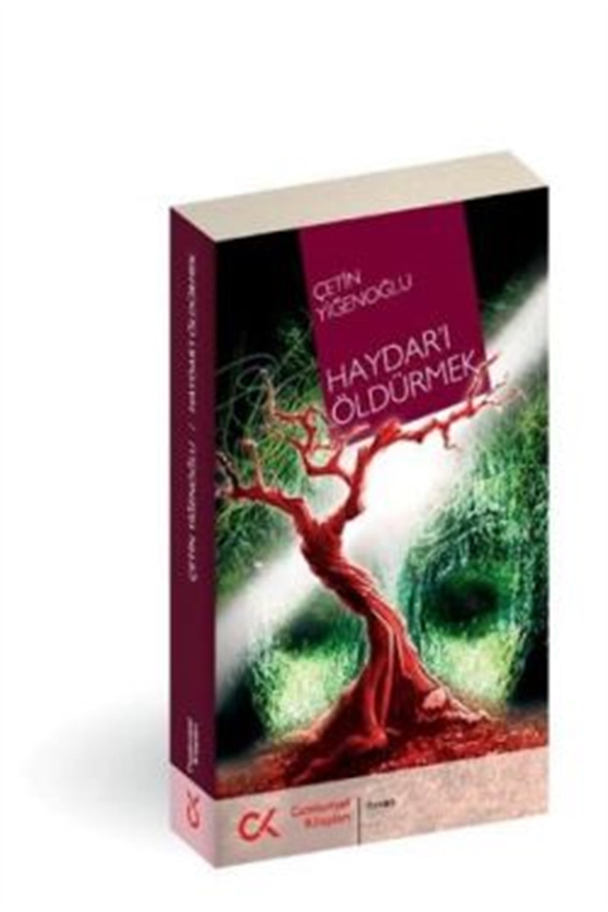 Haydar’ı Öldürmek