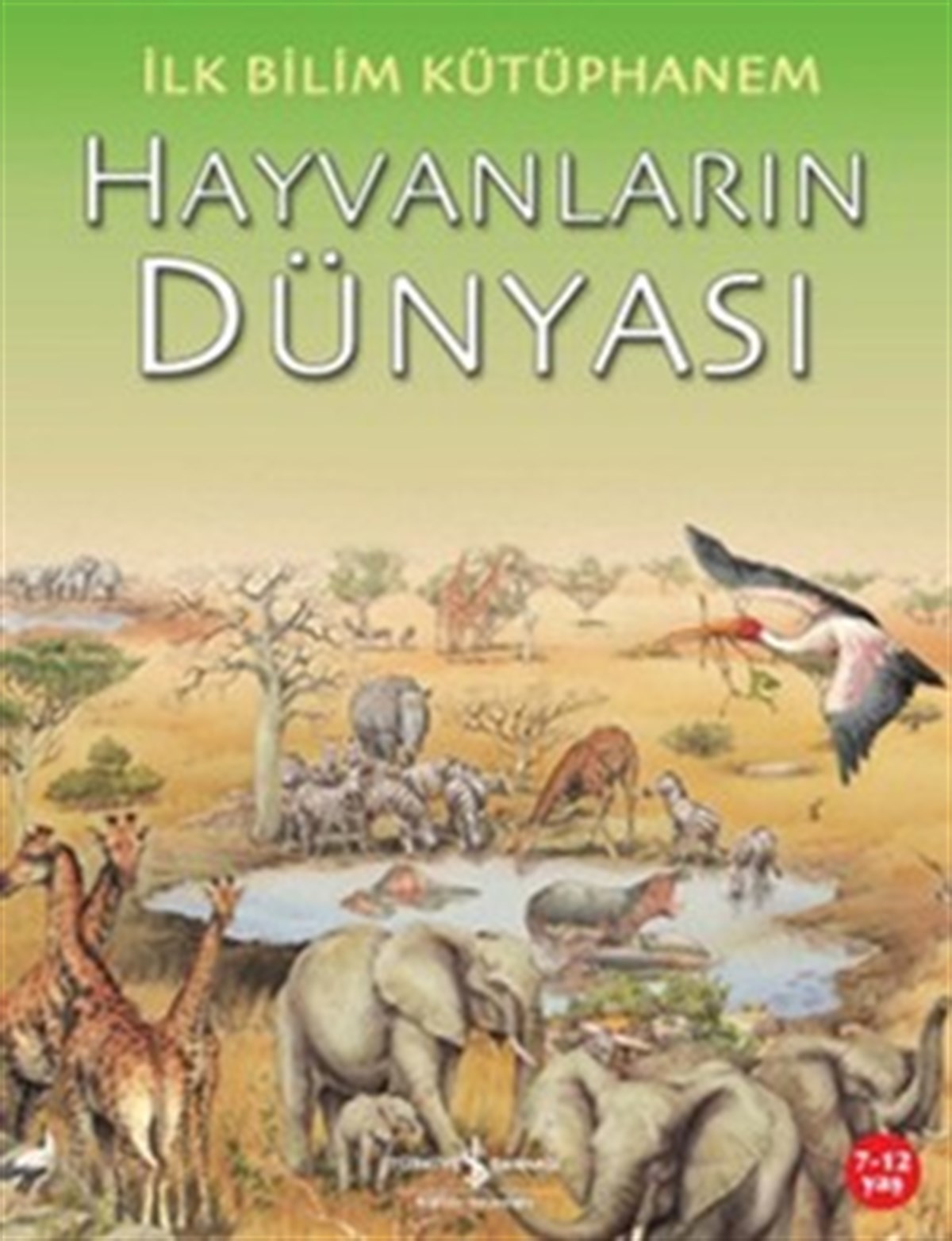 Hayvanların Dünyası