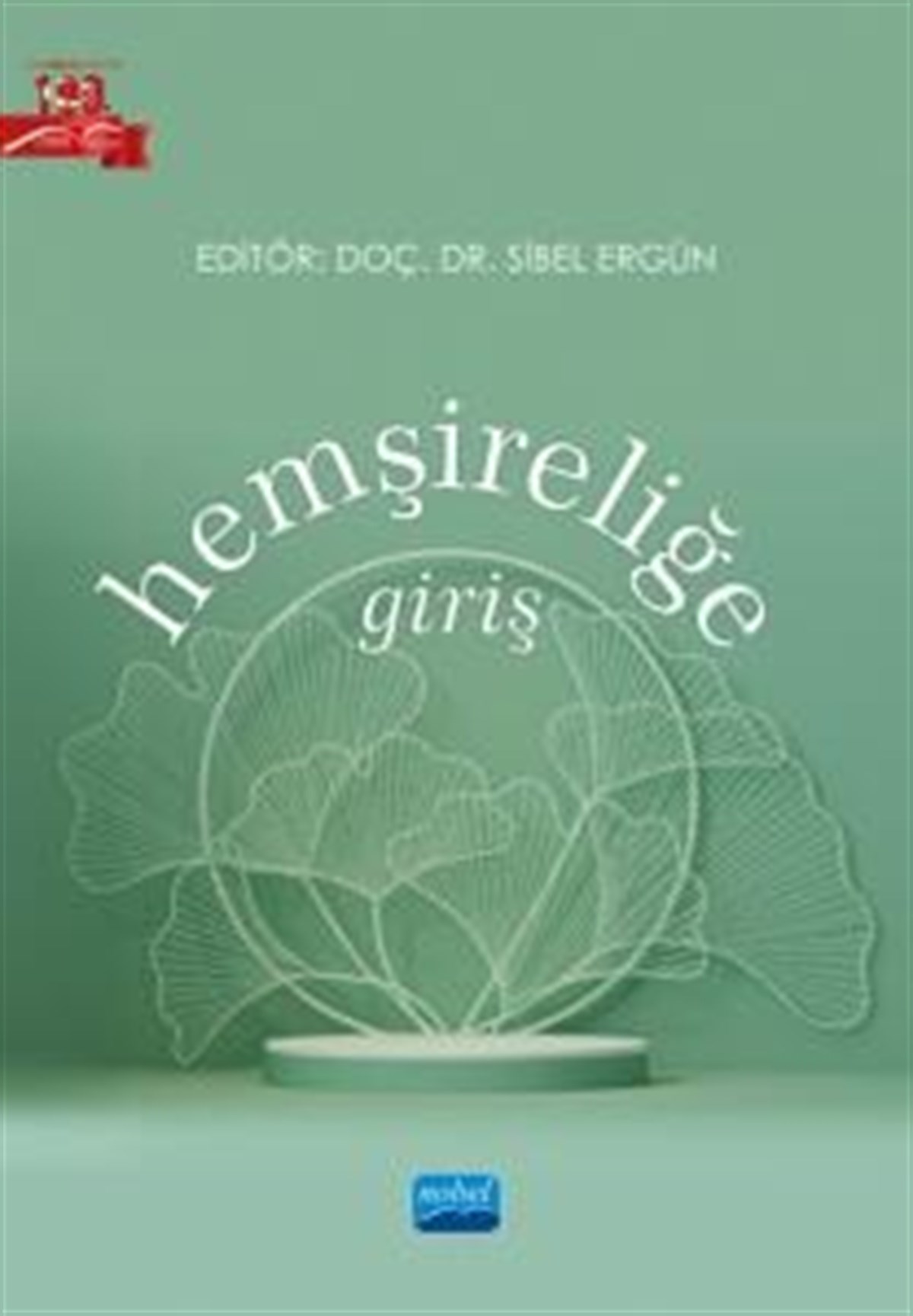 Hemşireliğe Giriş