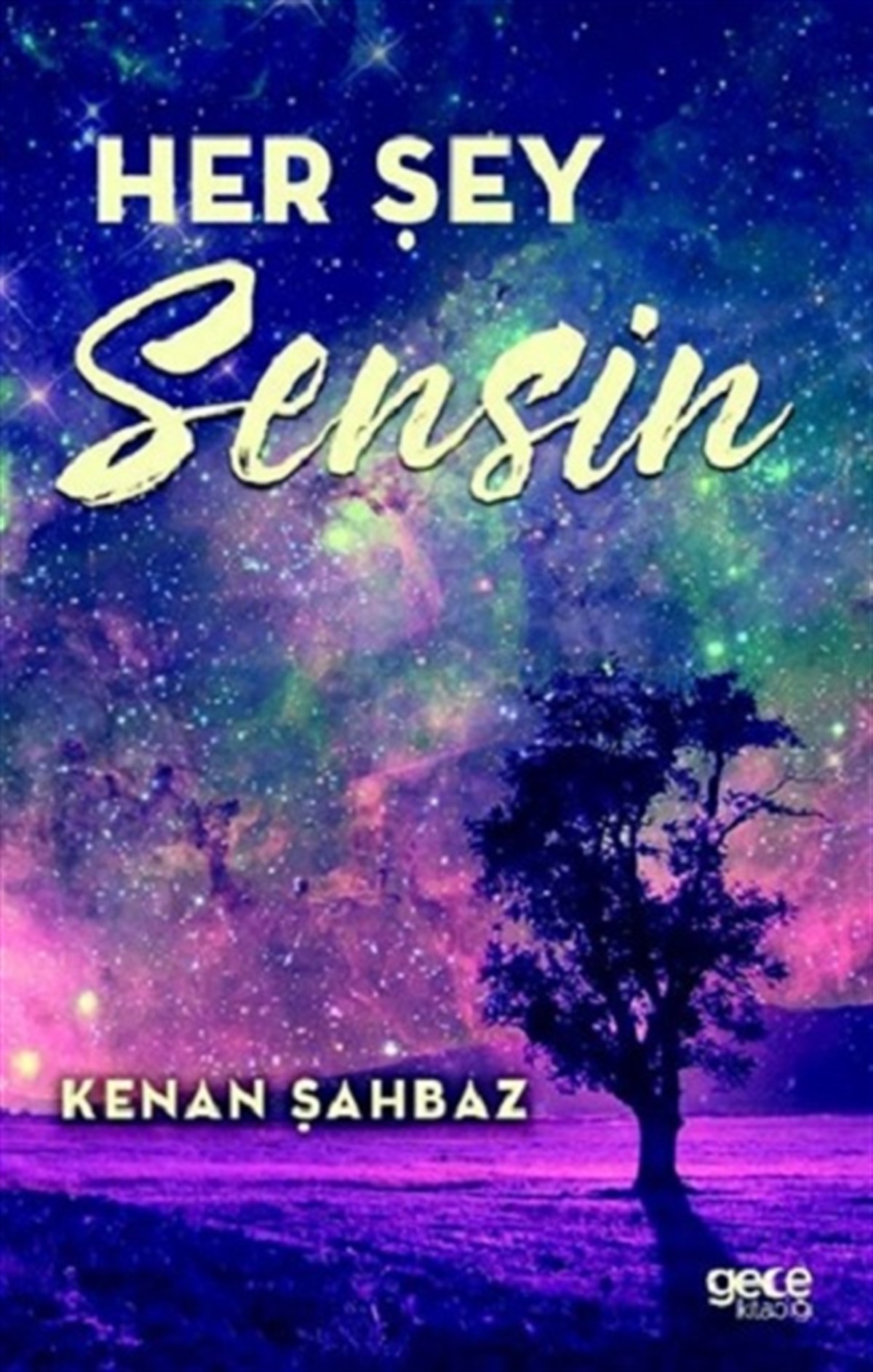 Her Şey Sensin