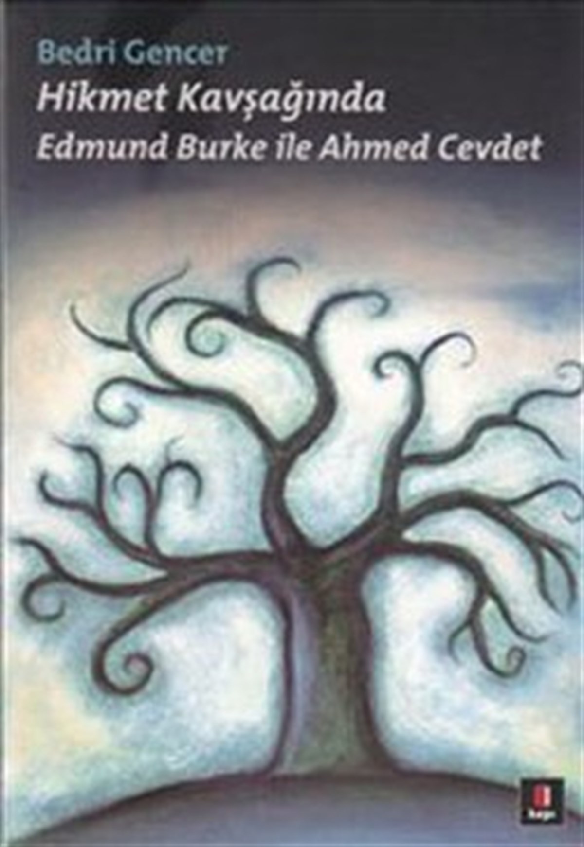 Hikmet Kavşağında - Edmund Burke ile Ahmed Cevdet