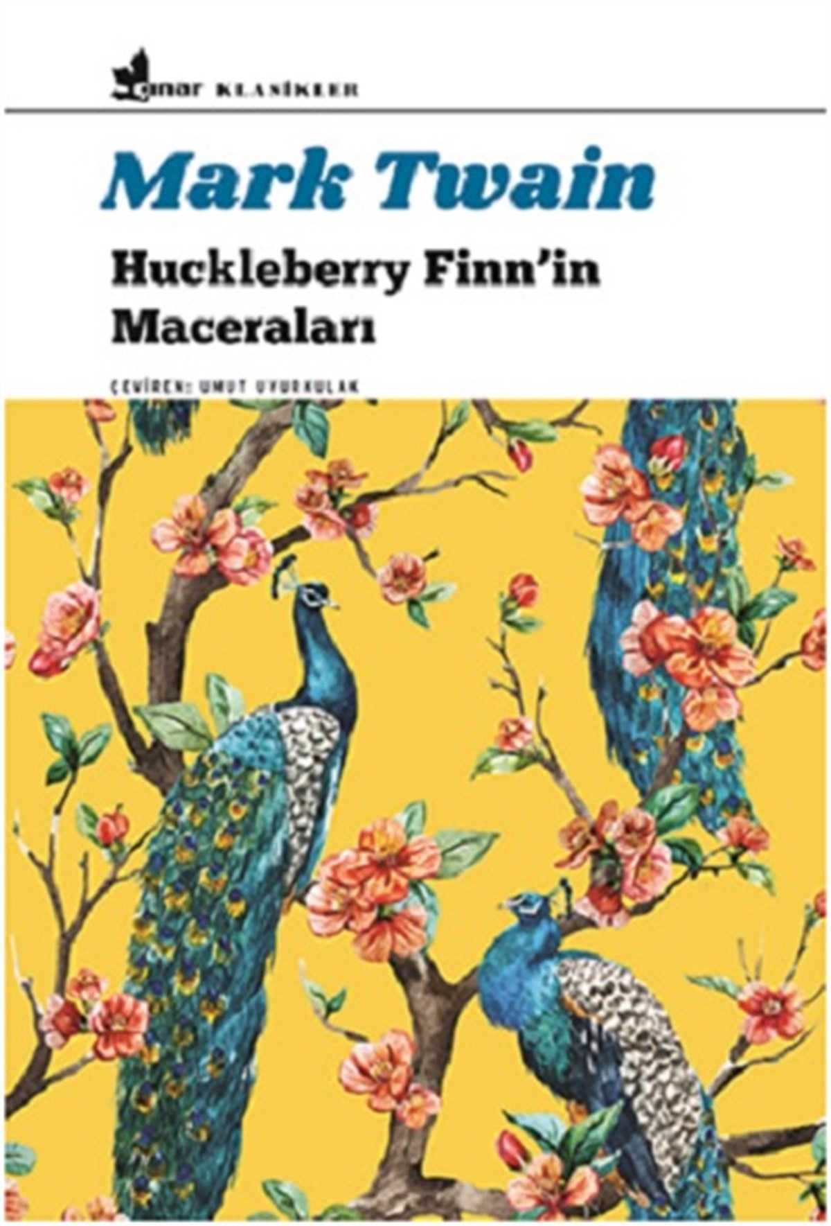 Huckleberry Finn'in Maceraları